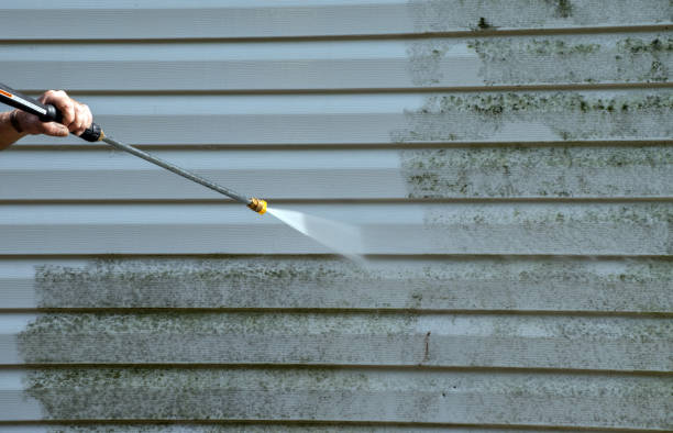 Best Exterior Home Cleaning  in New Madison, OH